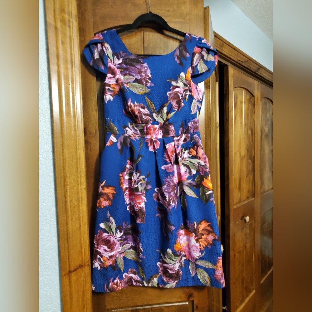 Anthropologie Moulinette Soeurs Rosado Floral Dress, Size 2